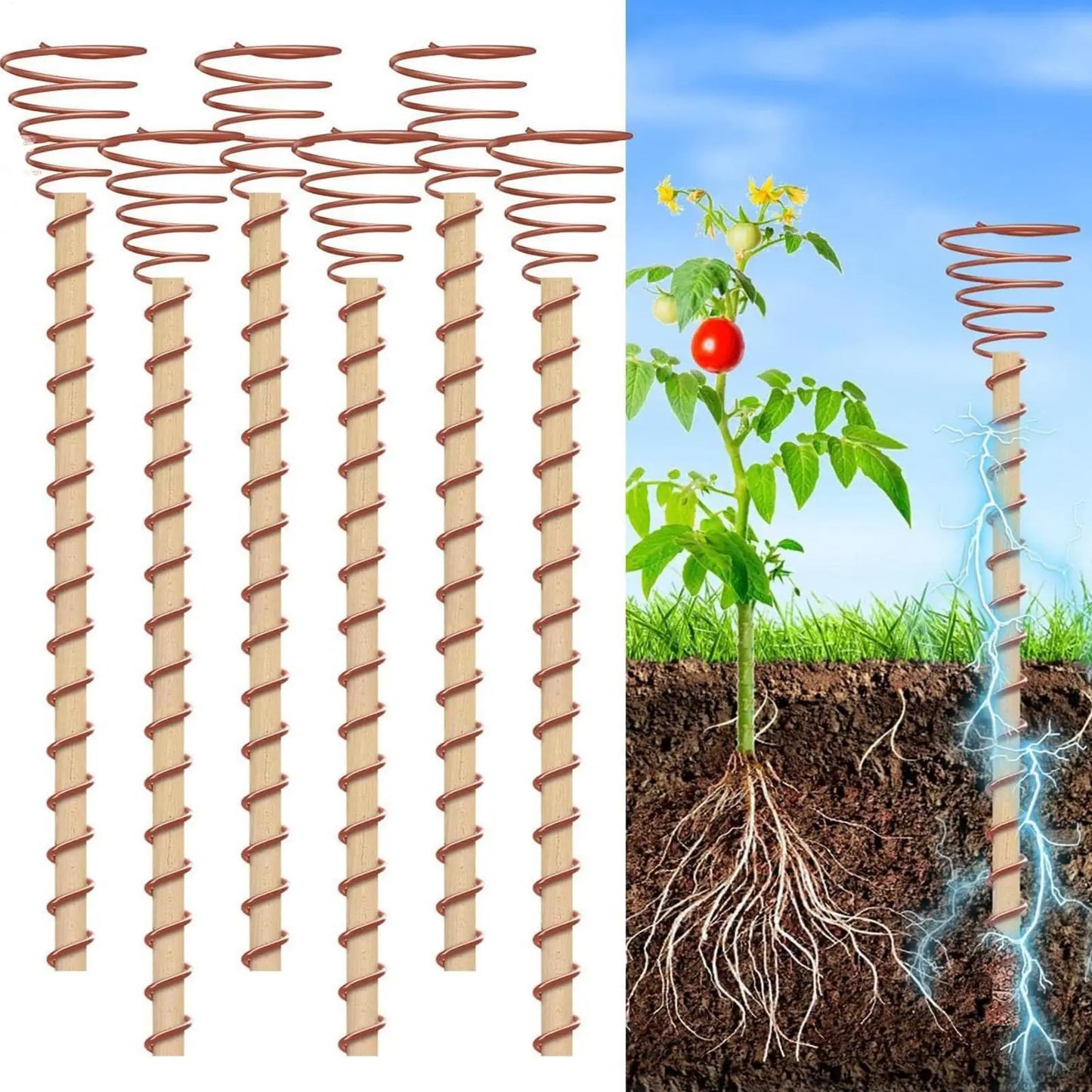 6-Pack Copper Coil Electroculture Plant Stakes | Garden Support