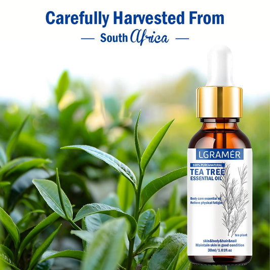 LGRAMER 30ml Pure Tea Tree Essential Oil – Aromatherapy & Massage Essential Oil Peaceful Pleasures Health and Wellness