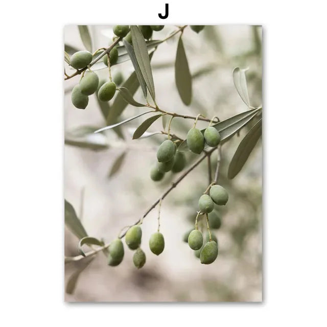 Nordic Olive Tree Canvas Wall Art | Lemon Botanical Print