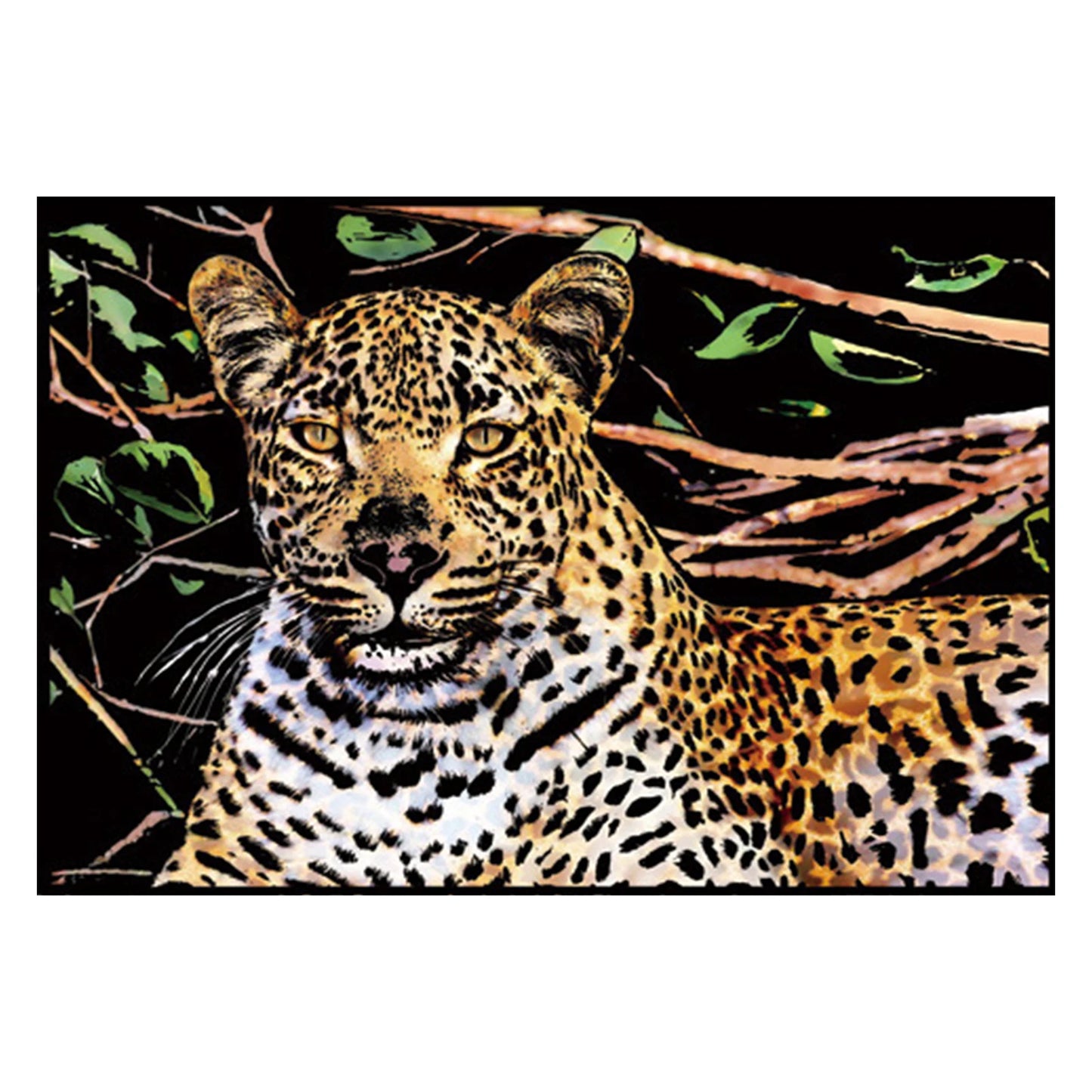 Animals Scratch Art for Teen & Adults with 3 Tools DIY Paint by Scratch 15.94x11.22 Inch Scratch Painting Kits DIY Art Craft Set Peaceful Pleasures Health and Wellness Cheetah