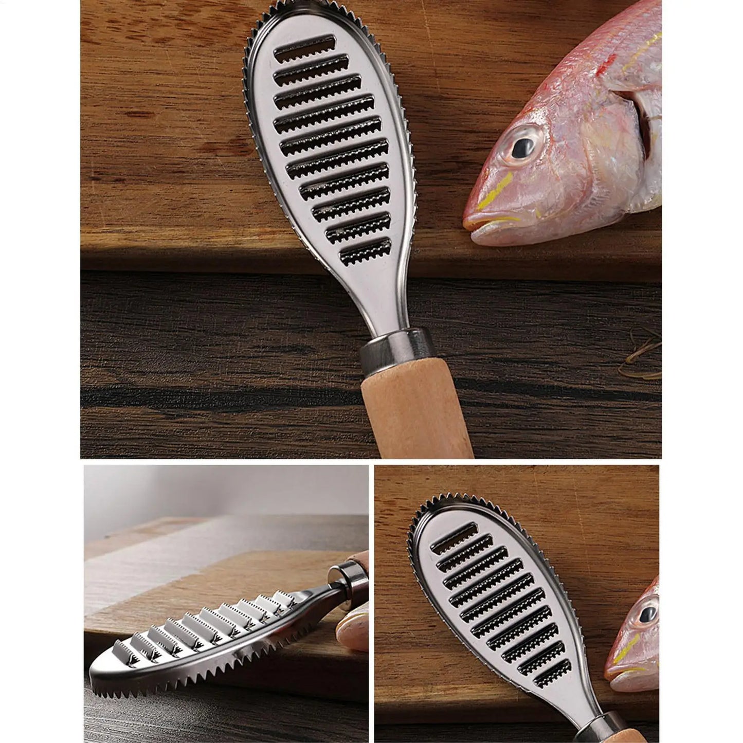Stainless Steel Fish Scaler & Descaler Tool – Fast Cleaner