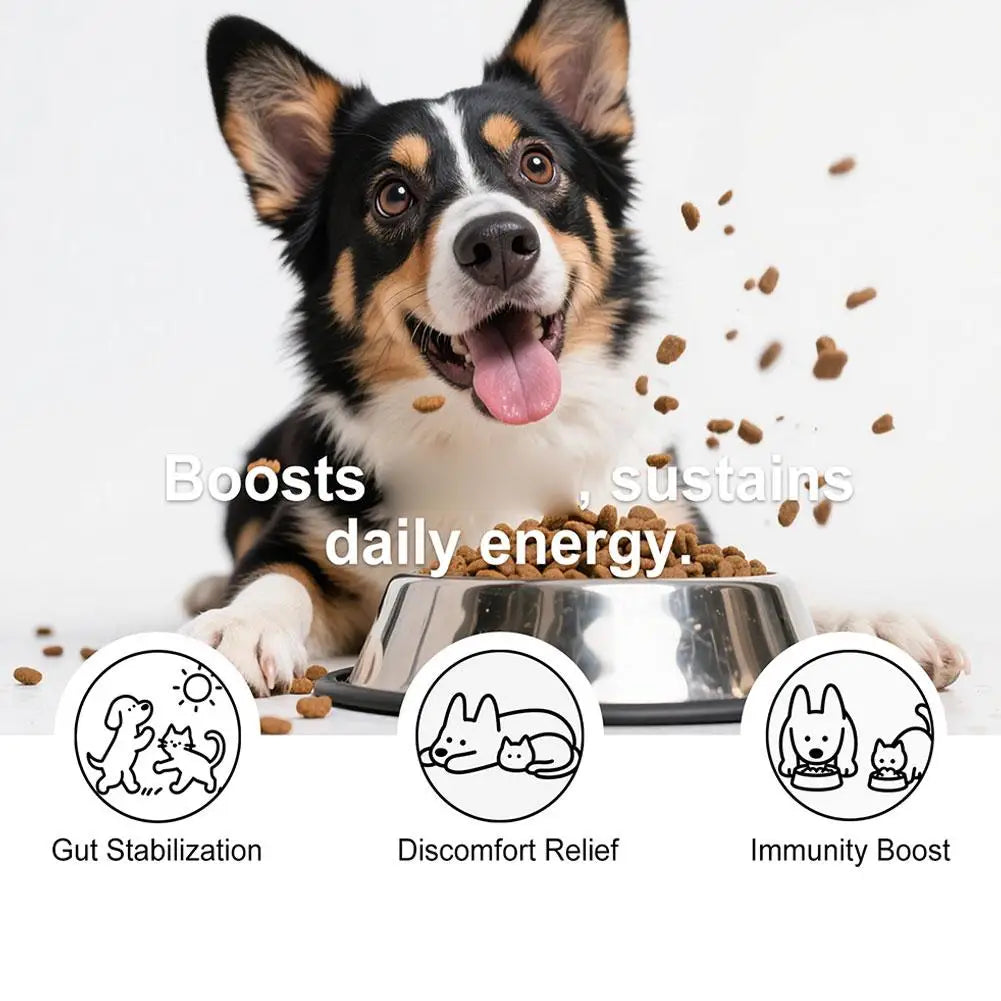 Dog Probiotic Gut Health Powder 100g | Digestion & Immunity