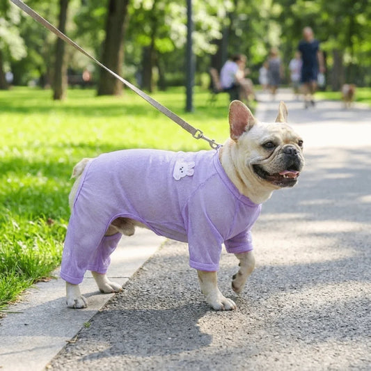Mesh Dog Sun-Proof Vest | Breathable Summer Pet Clothes & D-Ring Dog Summer Vest Peaceful Pleasures Health and Wellness