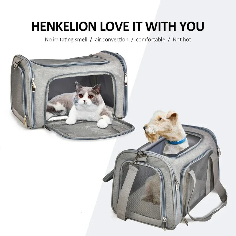 Airline Approved Pet Carrier Backpack for Small Dogs & Cats
