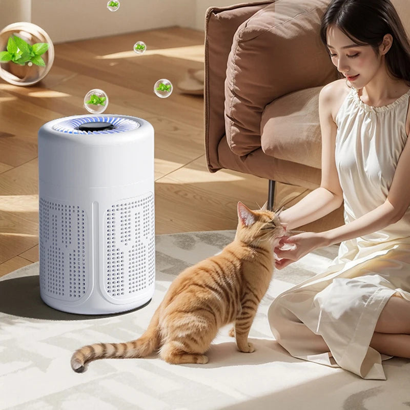 Mini Desktop Air Purifier HEPA Filter With Negative Ion Technology Eliminates Formaldehyde Odors Smoke And Dust Particles Peaceful Pleasures Health and Wellness