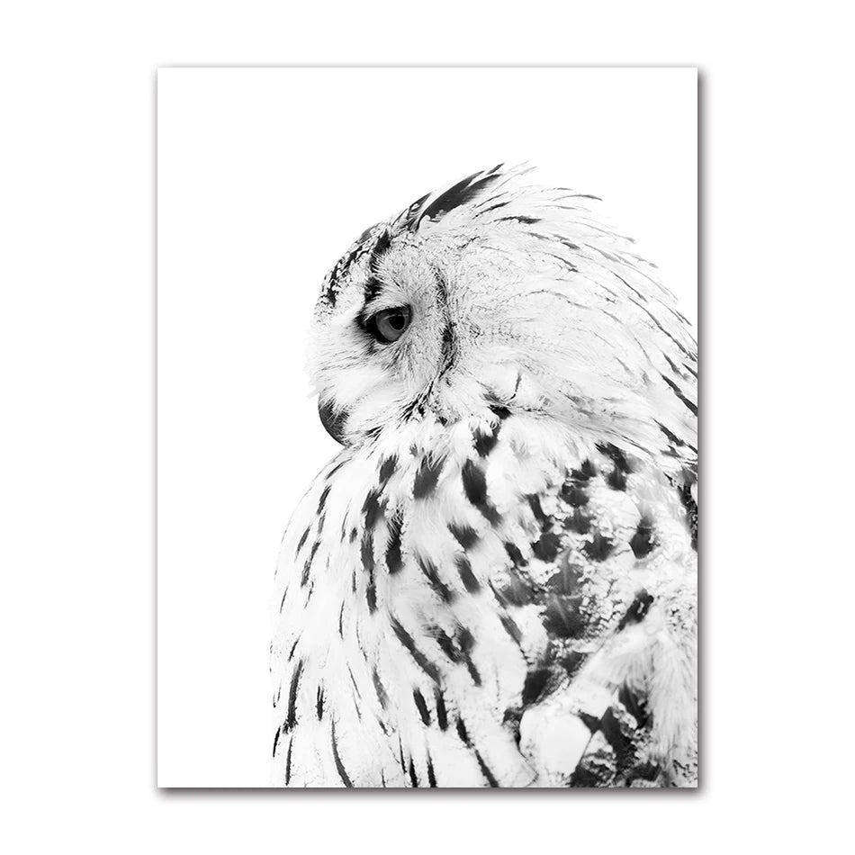 Realistic Owl Canvas Wall Art | Scandinavian Animal Poster