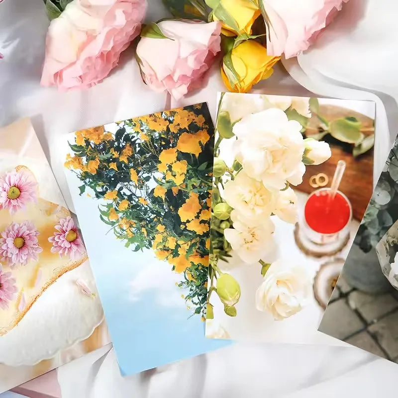 Preference Redemption Series Postcards Floral Scenes Greeting Cards