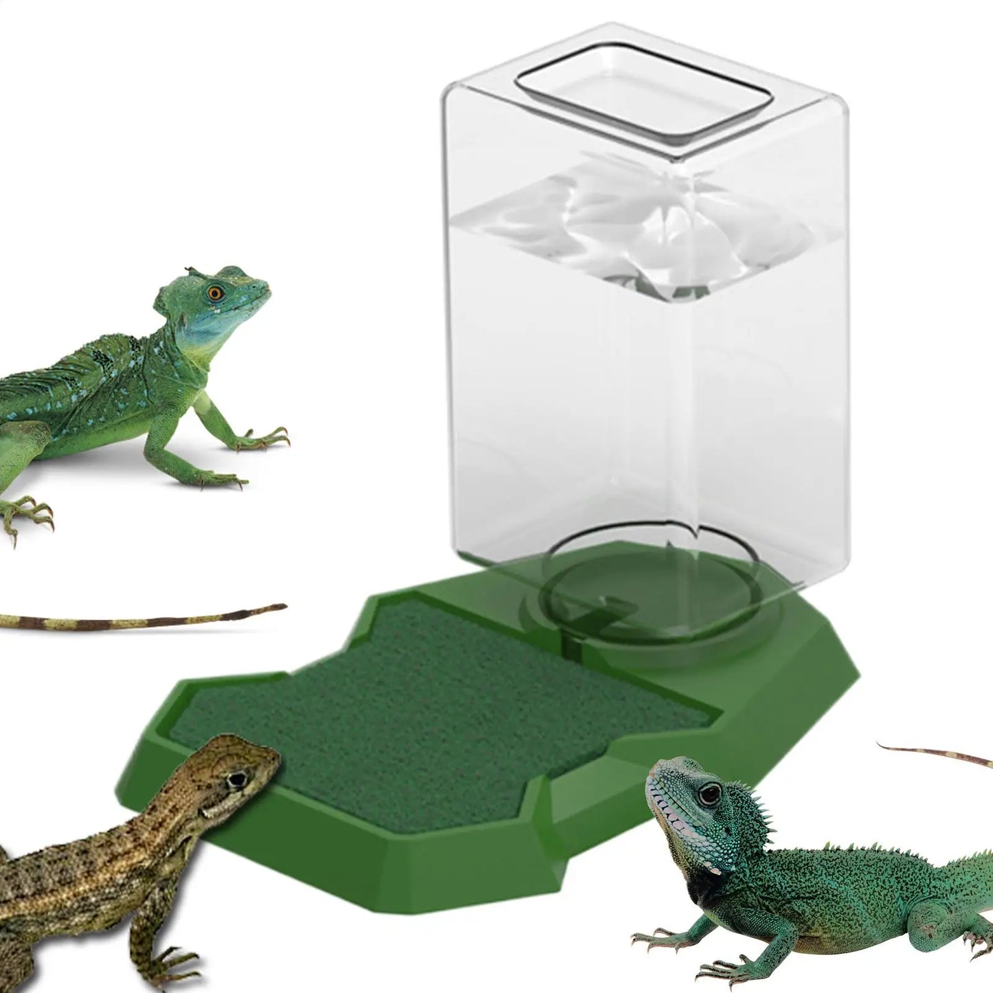 Reptile Water Dispenser & Anti-Slip Dish Bowl | Large Capacity