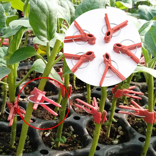 Plant Grafting Clip Plastic Premium Garden Tools Cucumber Eggplant Peaceful Pleasures Health and Wellness