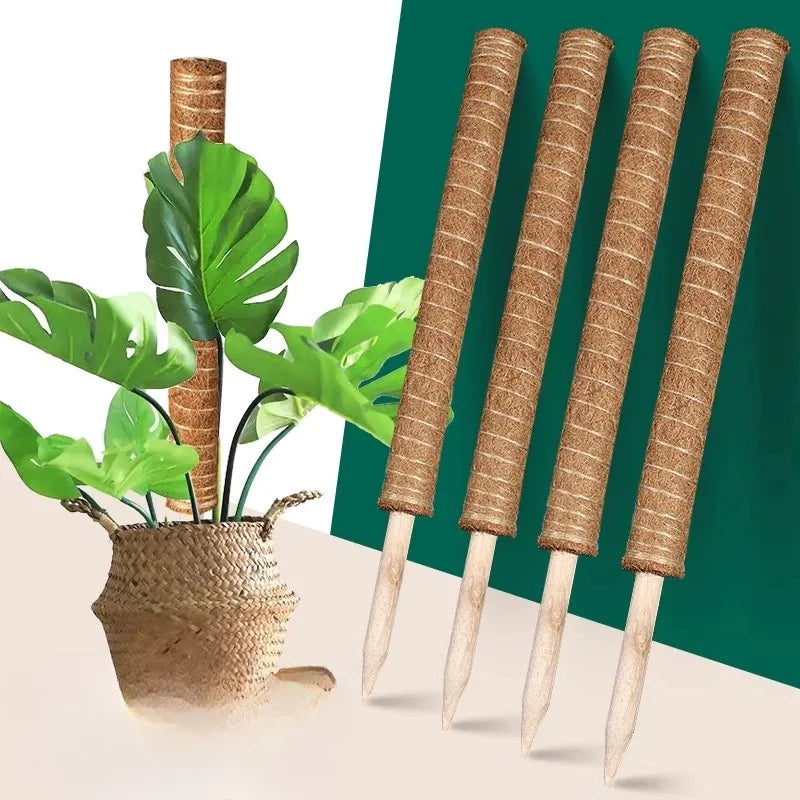 Green Basket Climbing Column Coconut Brown Rod Turtle Back Bamboo Support Rod Fixing Bracket Peaceful Pleasures Health and Wellness