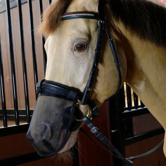Horse Fly Mask with Tassels & UV Protection – Fine Mesh Horse Fly Mask Oasis Select