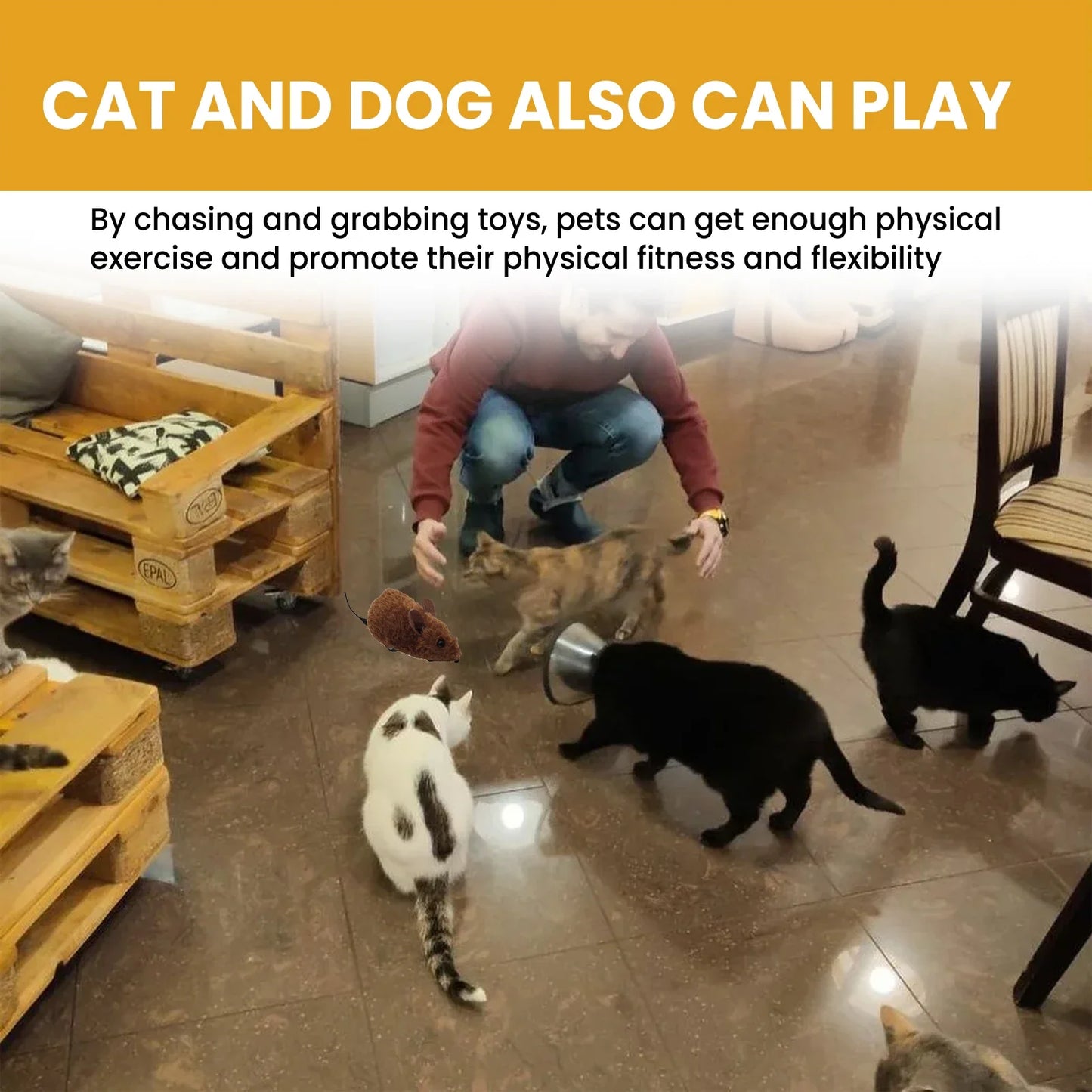 Interactive Squeaky Plush Mouse Cat Toy – Pull-Back Self-Moving
