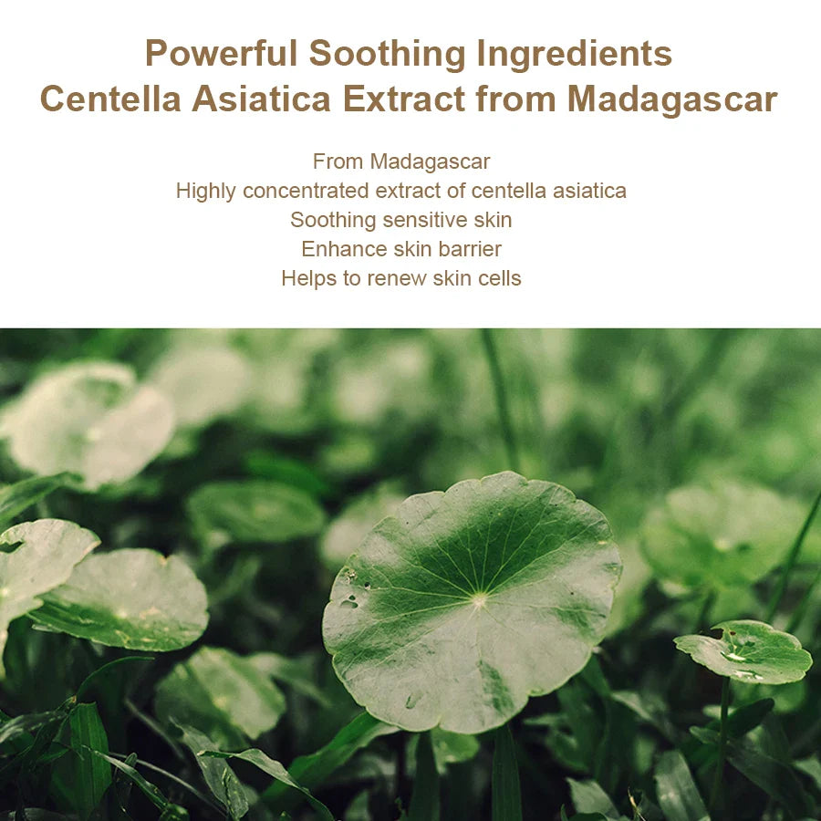 SANENDI Centella Asiatica Toner & Ampoule Set | Hydrating Duo