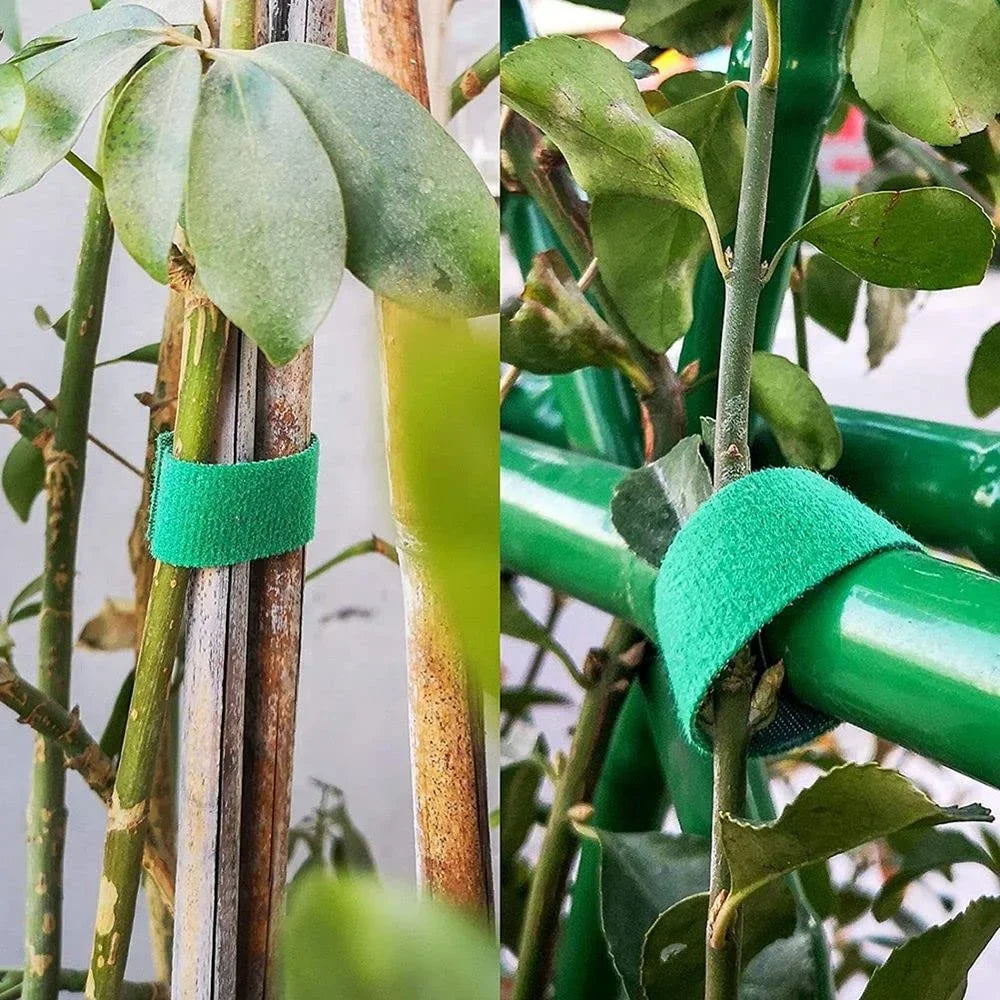 3-Roll Nylon Hook Loop Plant Ties – Garden Support Tape