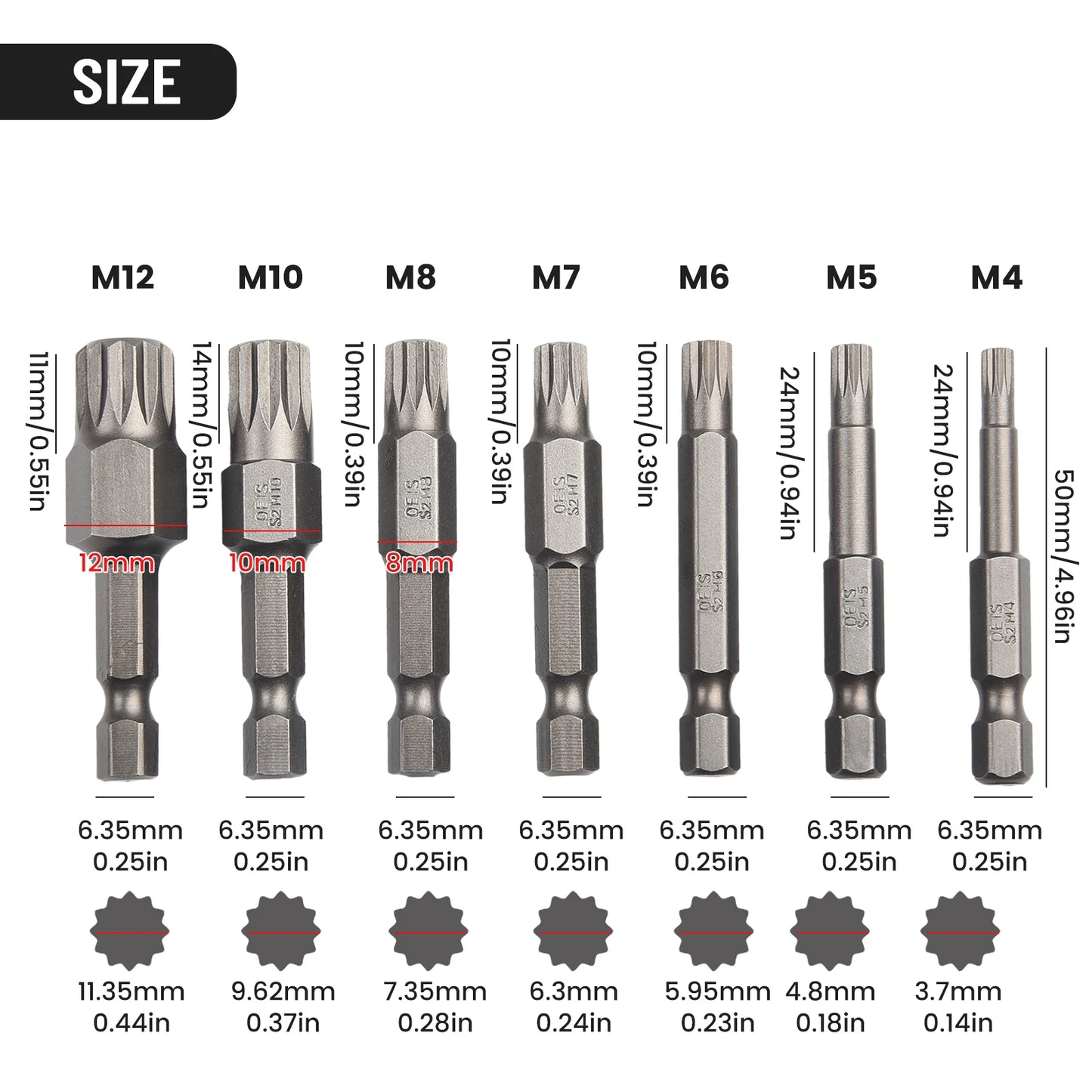 12 Point Torx Screwdriver Bit Alloy Steel Magnetic 1 4'' Hex Shank