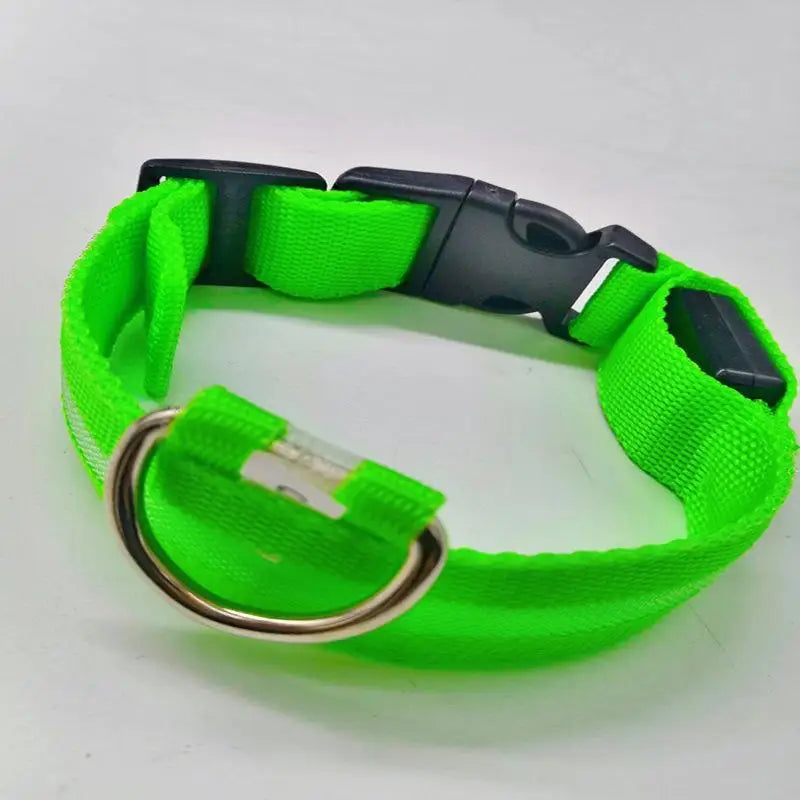 LED Light-Up Dog Collar – Glowing Safety Collar for Night Walks
