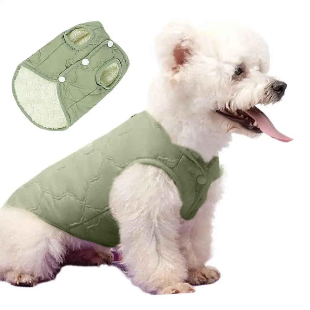 Windproof Insulated Dog & Cat Winter Coat | Pet Jacket