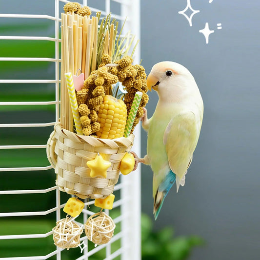 Foraging Chew Toys for Parrots, Lovebirds & Finches Bird Foraging Toy Oasis Select
