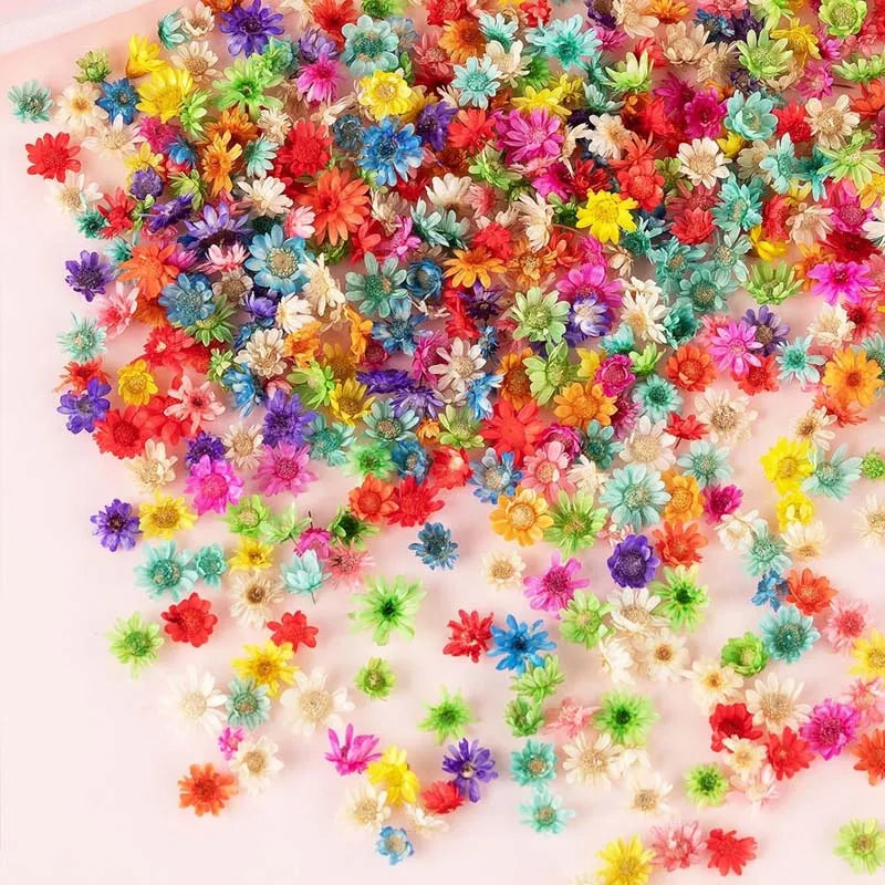 Dried Gypsophila Flowers for Candle, Soap & Resin Crafts