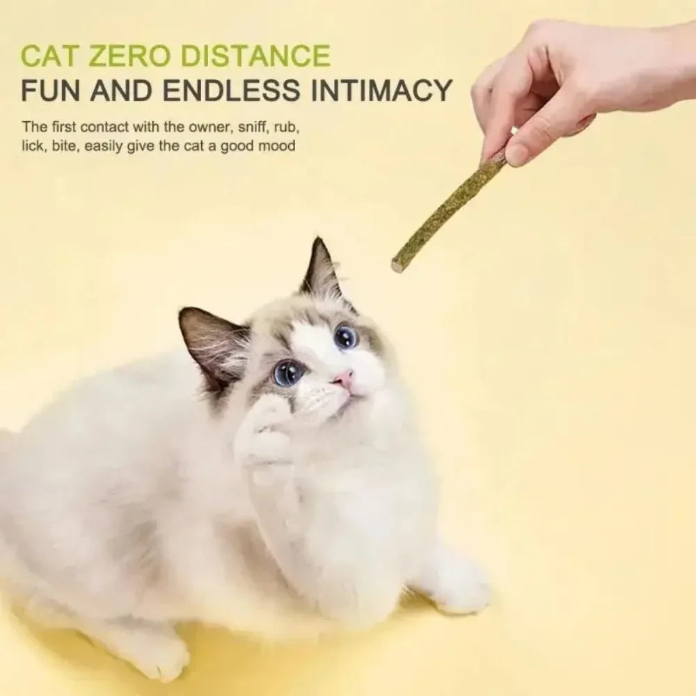 6pcs Natural Matatabi Cat Stick Mint Caught Bite Excited Rods Silvervine For Cat Teeth Cleaning Treating Pet Supply Cat Toys Peaceful Pleasures Health and Wellness