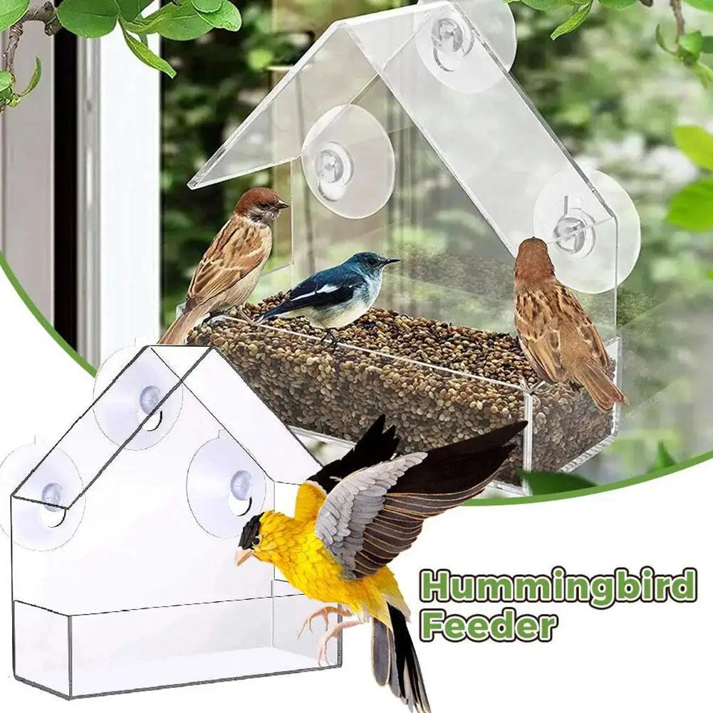 Acrylic Bird Feeder with Suction Cup for Wildlife Peaceful Pleasures Health and Wellness