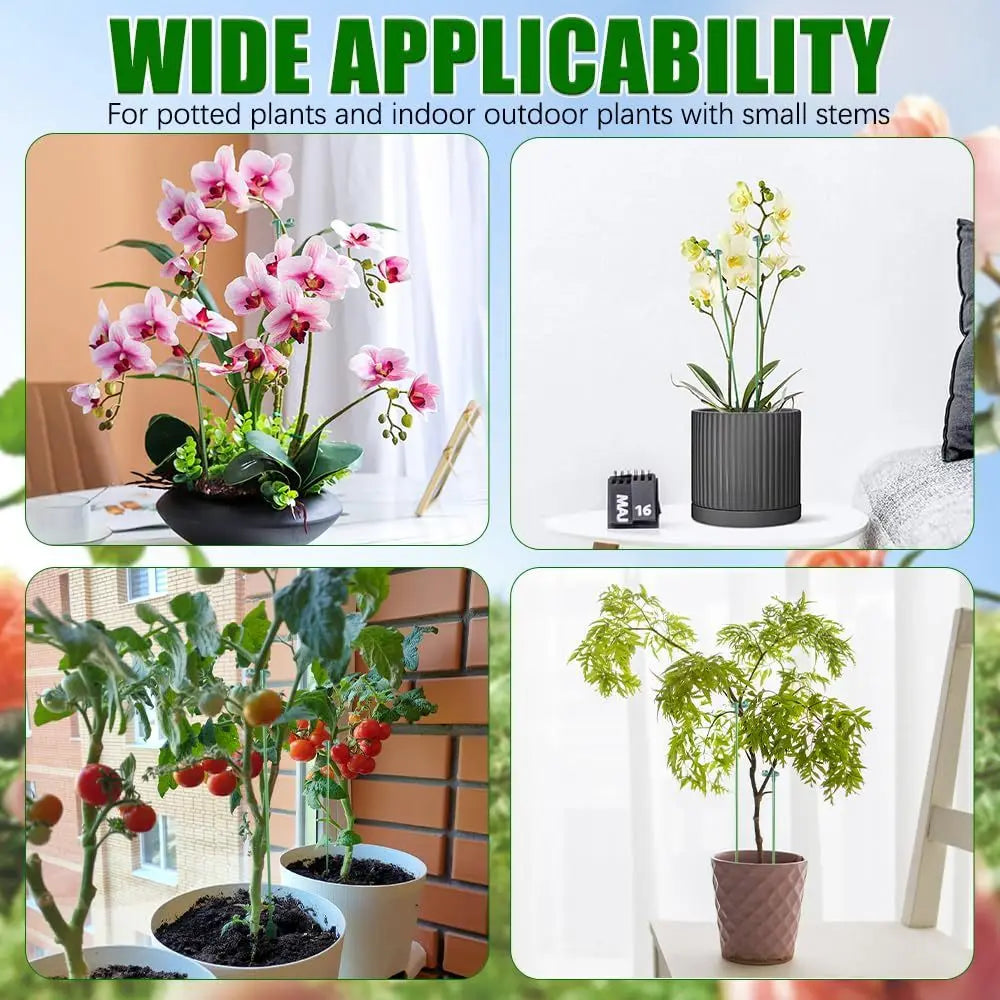 5/10PCS Plant Supports Stand Butterflies Orchid Flower Potted Fixing Rods Reusable Vegetable Protection Fixing Tool Gardening Su Peaceful Pleasures Health and Wellness