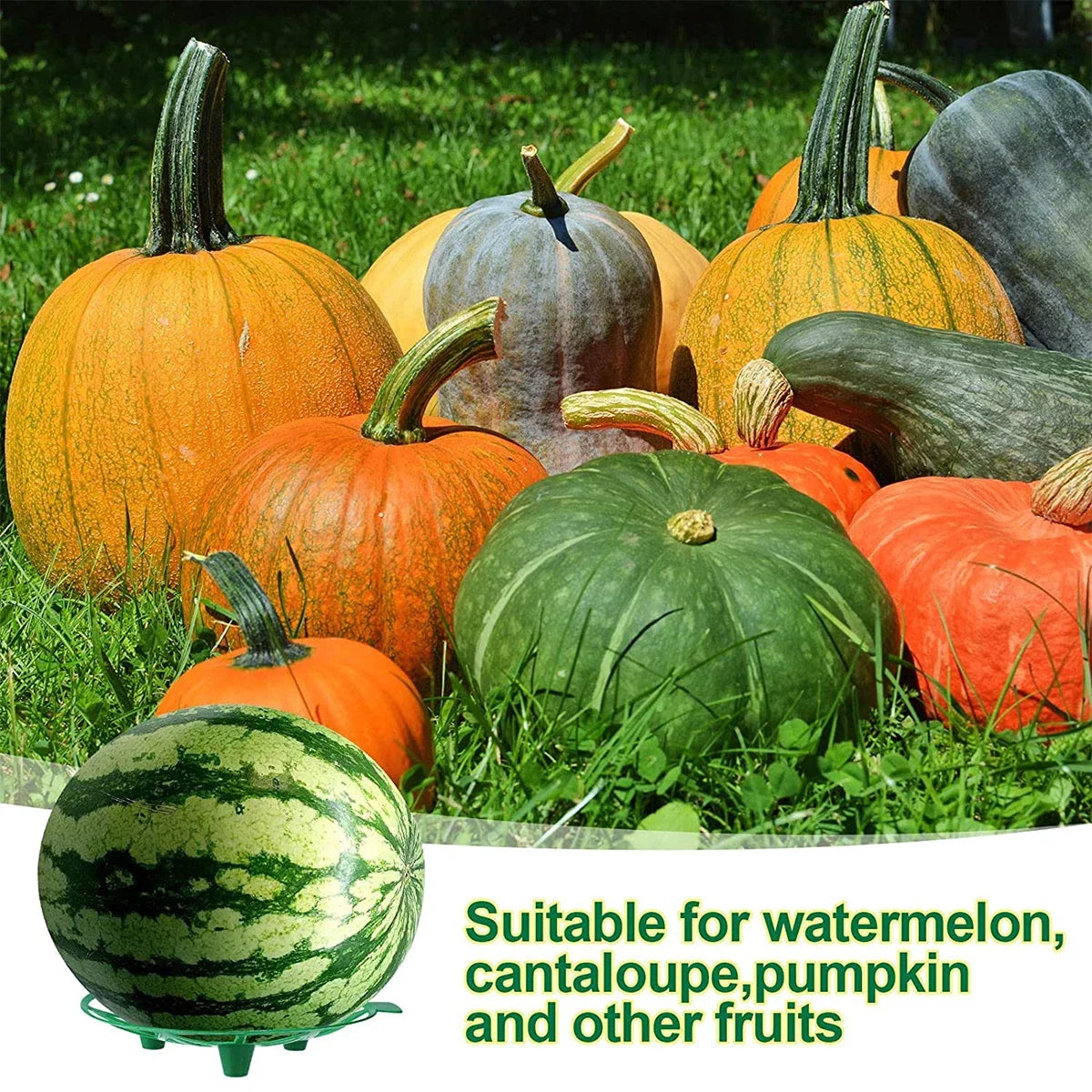 10Pcs Melon Cradle Pumpkin Support Strawberry Supports Holder Set Protect Watermelons From Ground Rot Holds Up to 8 lbs Peaceful Pleasures Health and Wellness