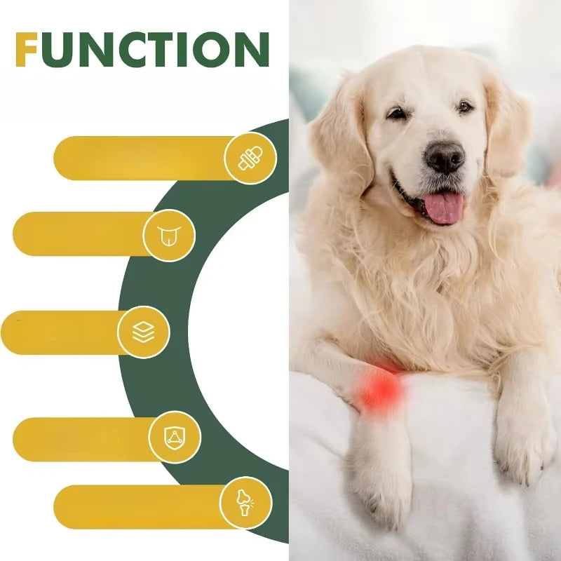 Adjustable Reflective Dog Knee & Leg Pads Joint Injury Protective Pet Dog Front Leg Safety Training Products Peaceful Pleasures Health and Wellness