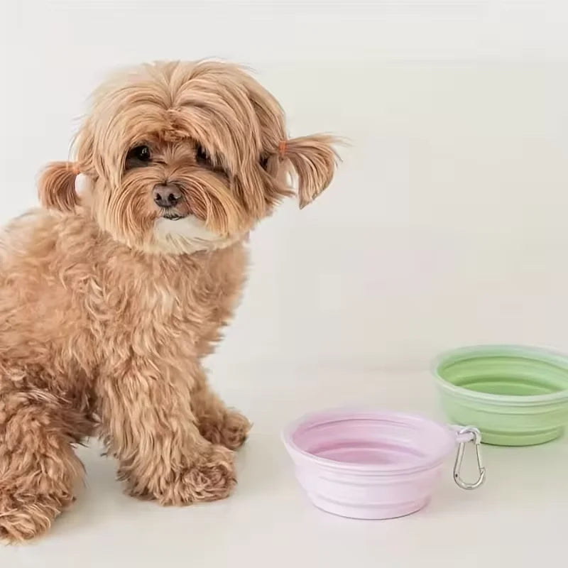 Foldable Silicone Pet Bowl – Portable Travel Dog & Cat Feeder