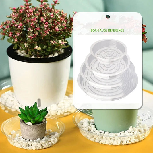 Transparent Plant Saucer Tray Anti-Slip Waterproof 5-Pack Plant Saucer Tray Oasis Select