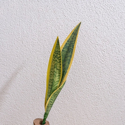 Aritificial Snake Plant Home Decorations Wedding Supply School Peaceful Pleasures Health and Wellness A