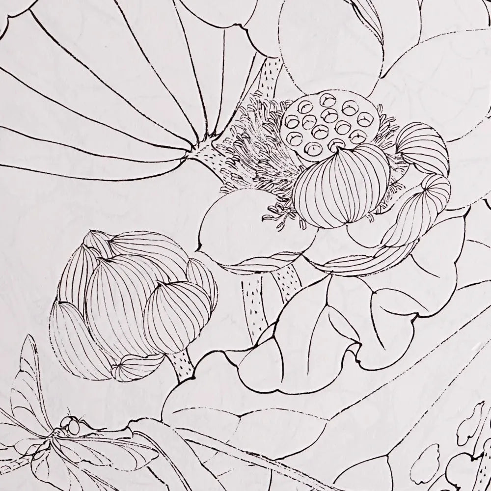 Baihe Painting Manual Coloring Book Easy Simple Designs Relaxation