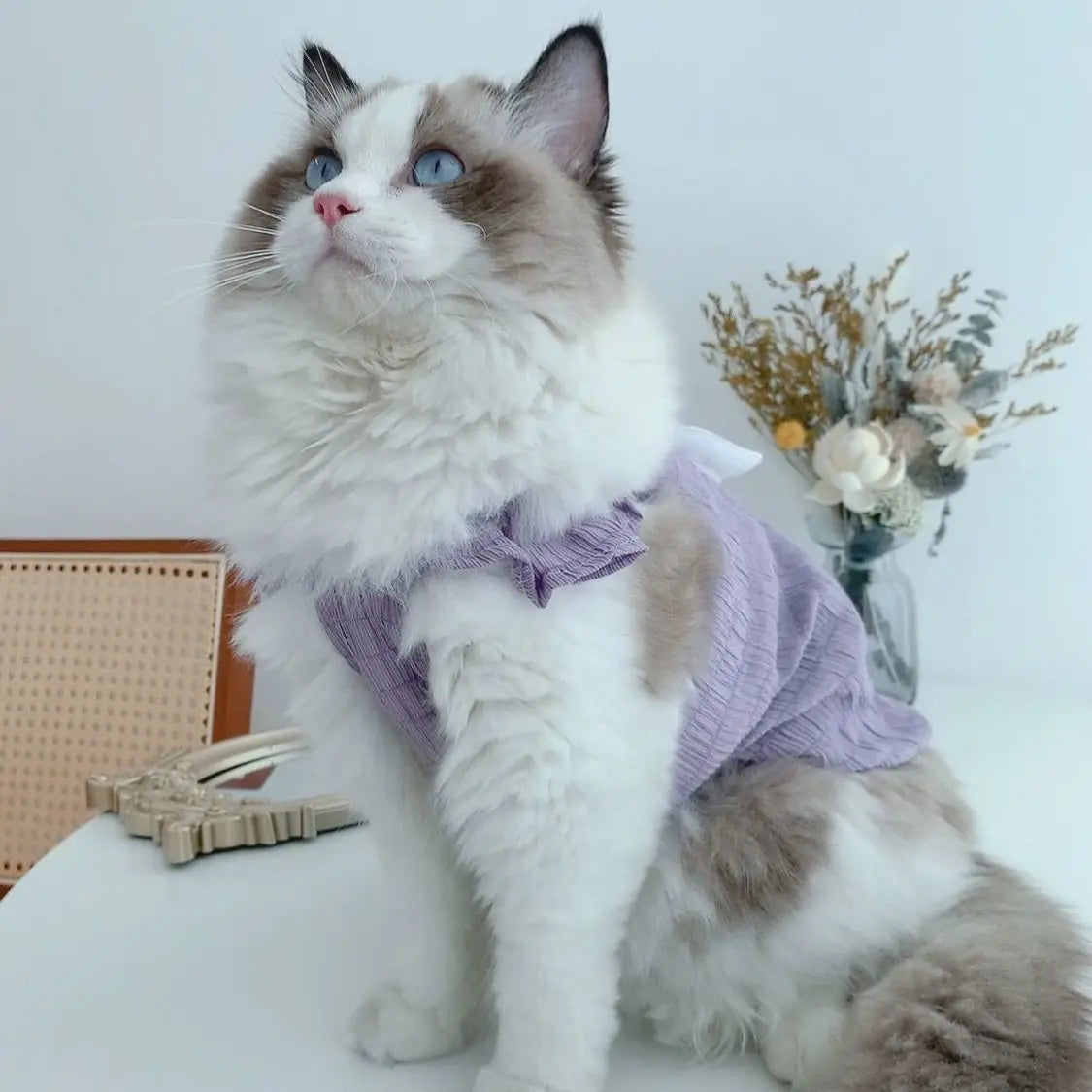 Cat Angel Wings Summer Shirt – Soft Breathable Pet Clothes