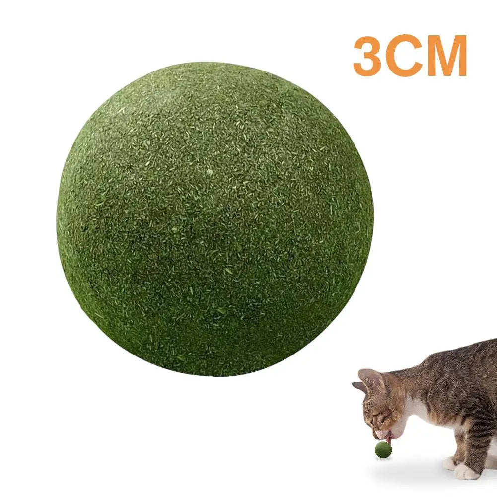 Natural Catnip Ball Toy – Teeth Grinding & Cat Enrichment