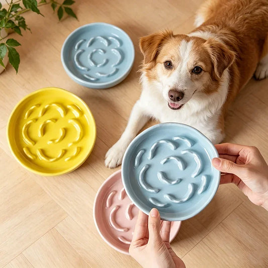 Ceramic Anti-Choking Slow Feeder Cat Bowl | Stable & Safe Ceramic Cat Bowl Peaceful Pleasures Health and Wellness