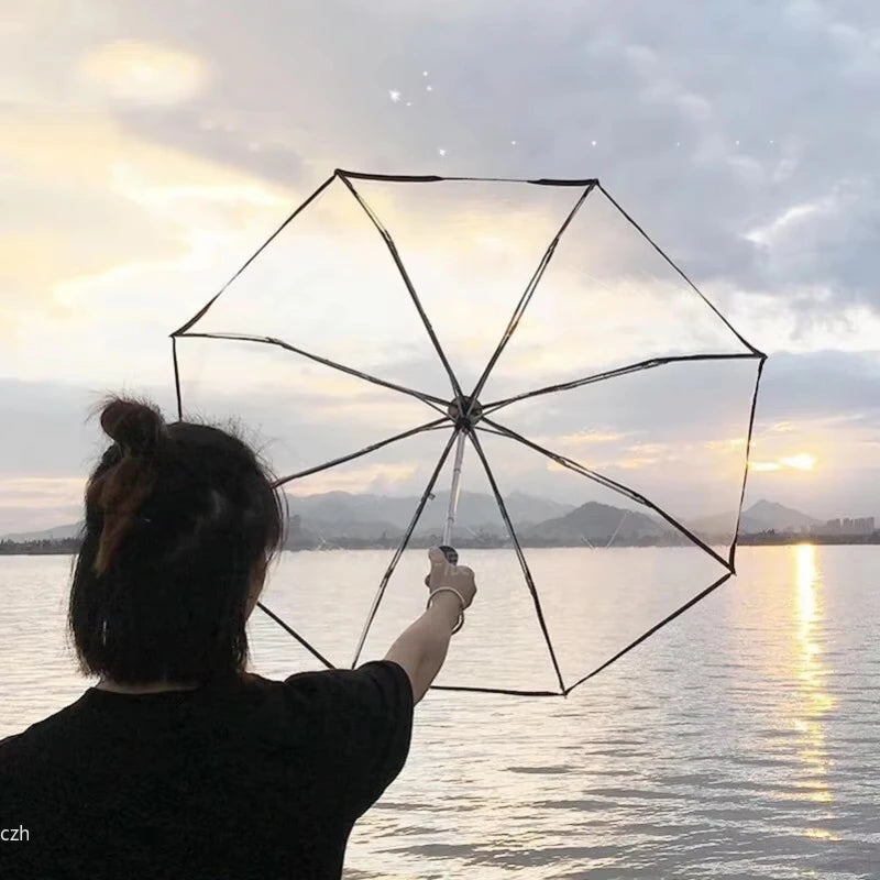 Korean Transparent Folding Umbrella | Auto Open & Close