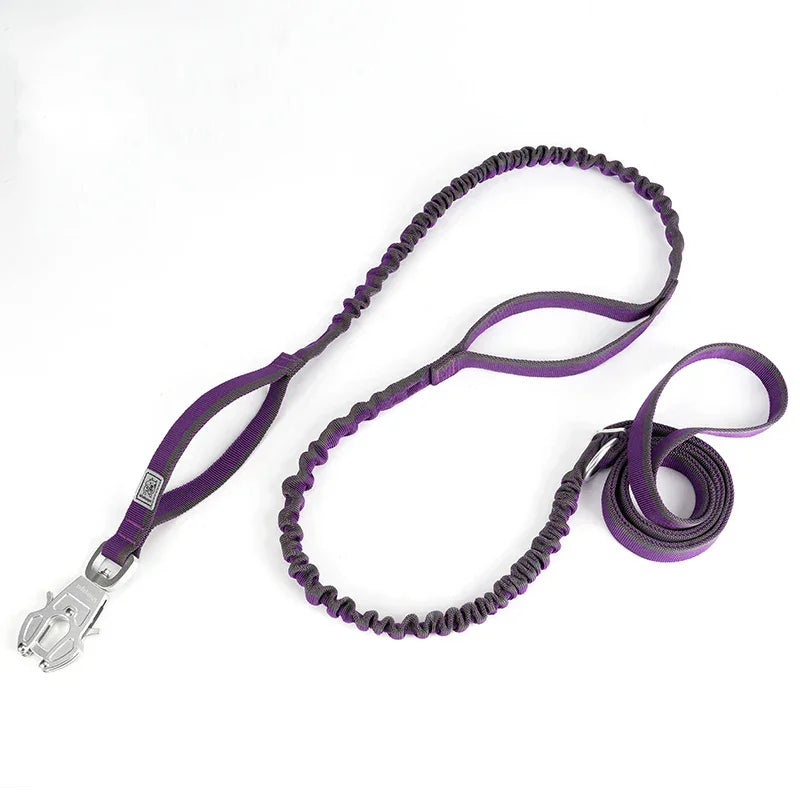TRUELOVE Dog Leash Heavy Duty with Quick Release/Locking Frog Clip Waterproof Tactical Multi-function Bungee Cobra Buckle YL1833 Peaceful Pleasures Health and Wellness Purple L China Mainland