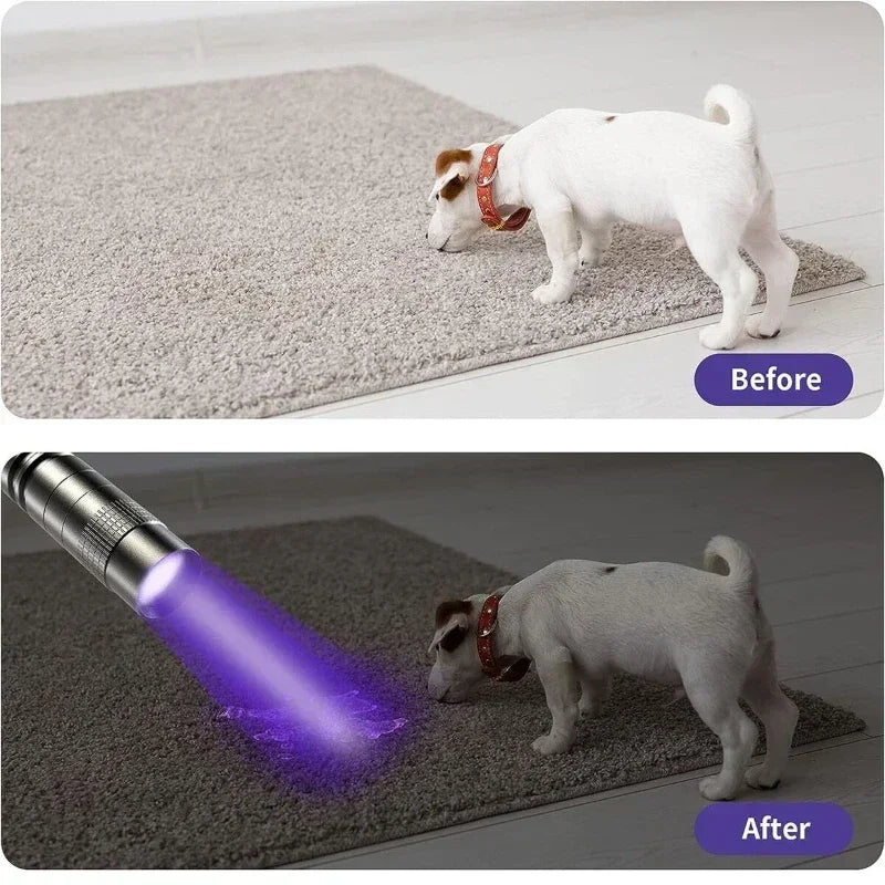 395nm UV Flashlight Ultraviolet Torch with Pen Clip | AAA