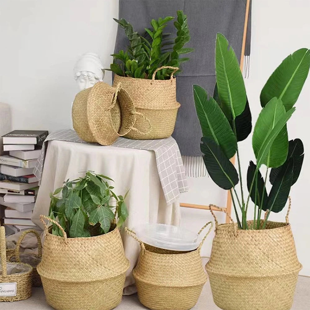 Handwoven Seagrass Plant Basket with Handles | Home Decor