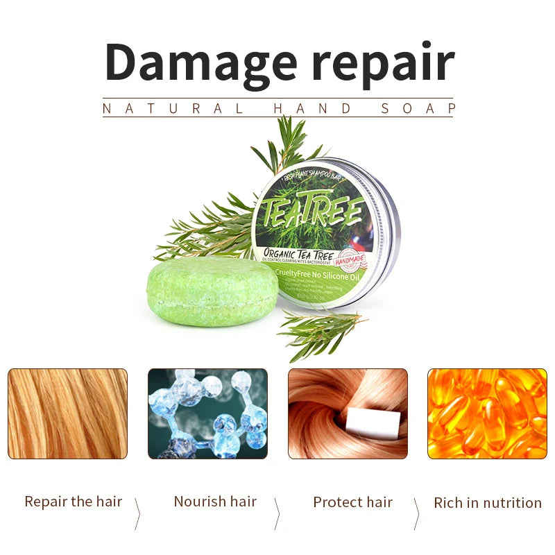 Tea Tree Handmade Shampoo Bar – Oil Control & Scalp Care