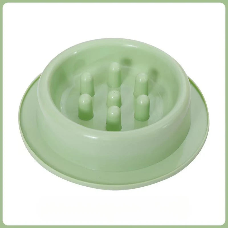 Elevated Anti-Knock Cat & Dog Bowl | High Foot Pet Feeder