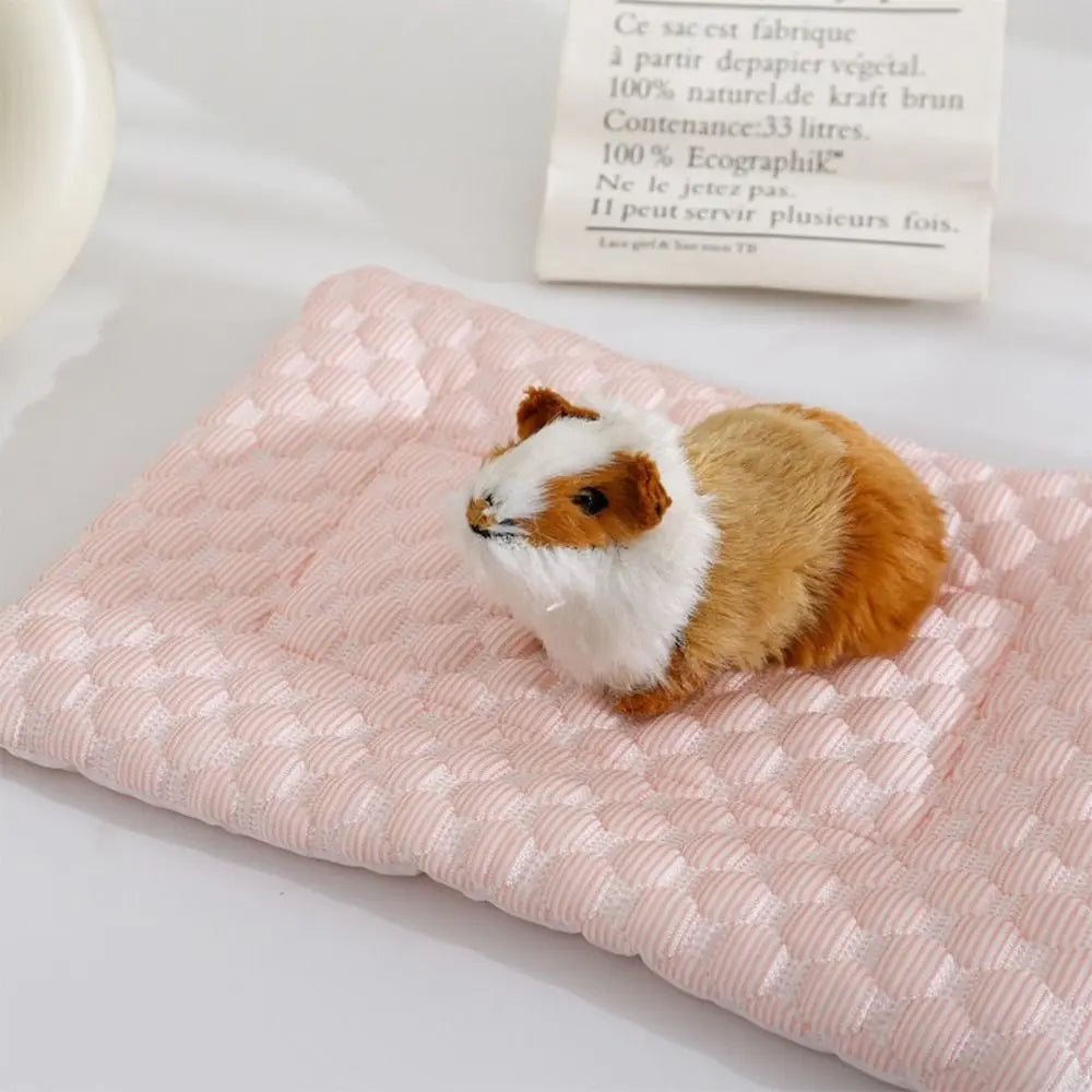 Small Pet Ice Silk Cooling Mat | Hamster, Guinea Pig & More