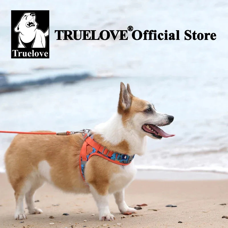 Truelove Floral Printing Mesh Harness for Dogs and Cats Small and Medium Breeds All Weather Adjustable Summer Walking TLH30131 Peaceful Pleasures Health and Wellness