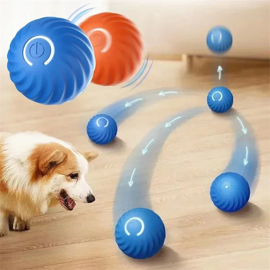 USB Automatic Dog Accessories Mobile Bounce Moving Ball For Dogs Electronic Interactive Pet Toys Pool Cats Toy Bag Supplies Home Peaceful Pleasures Health and Wellness