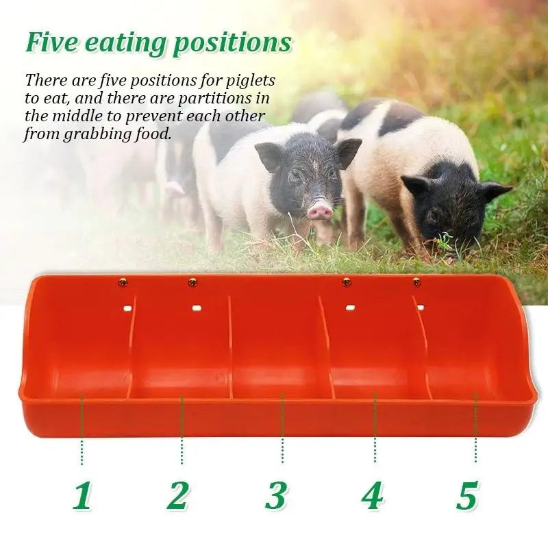 5 Slots Piglet Fodder Dish Multi Slot Livestock Feeding Bowl Durable Plastic Feeder for Piglet and Farm Animals Peaceful Pleasures Health and Wellness