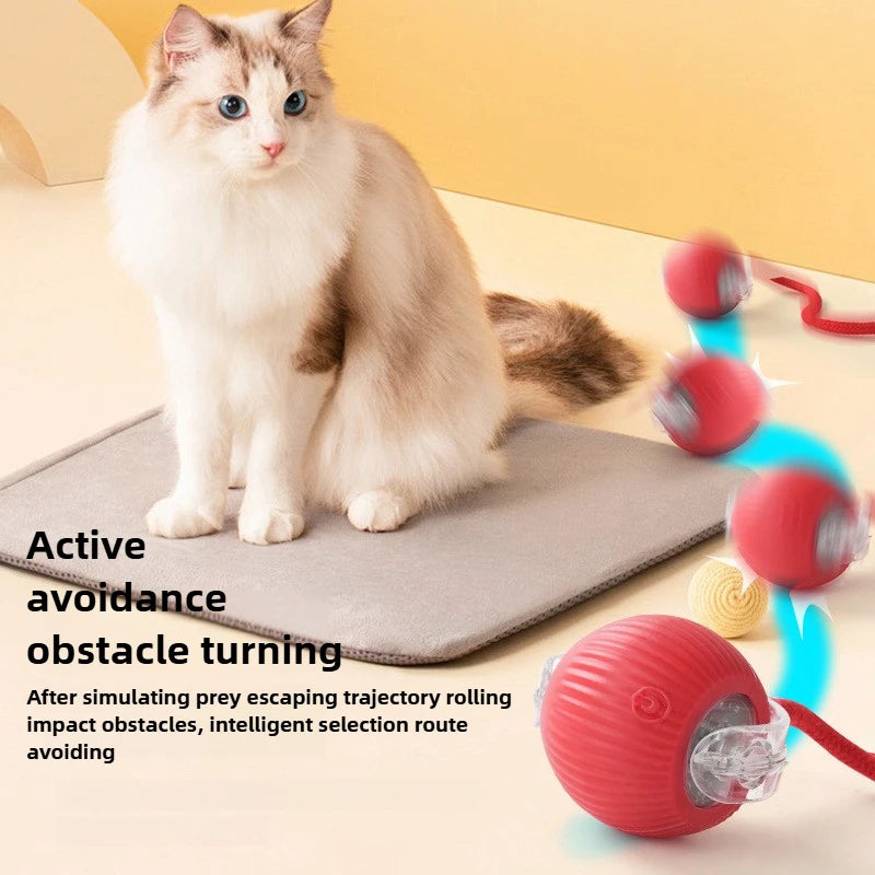 Smart Rechargeable Cat Toy Ball Automatic Rolling with Faux Tail Interactive Pet Play Training Toy for Cats Dogs Training Play Peaceful Pleasures Health and Wellness