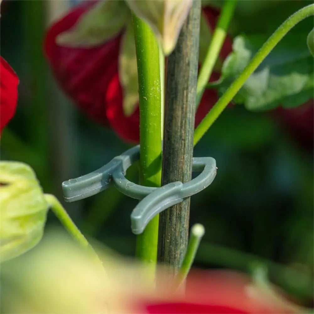 100pcs Plastic Plant Garden Clips – Reusable Stem Support