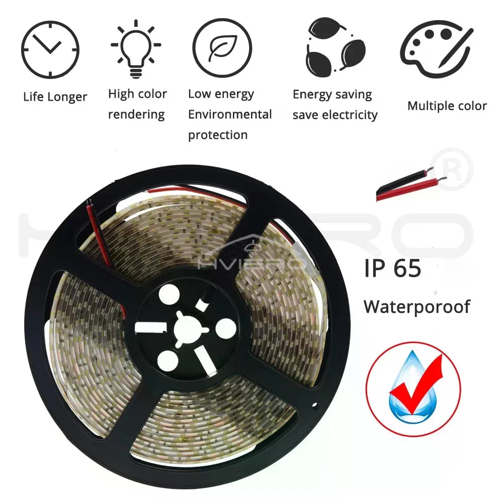 HVIERO 600 LED Strip Light SMD 2835 DC 12V | RGB & Warm White