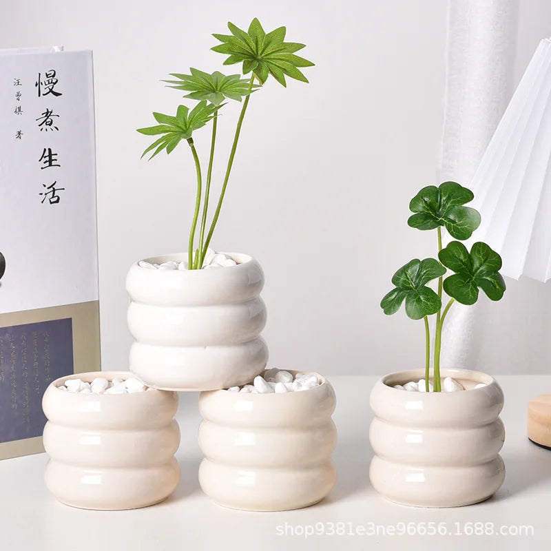 Ceramic Self-Watering Succulent Planter | White Minimalist Pot
