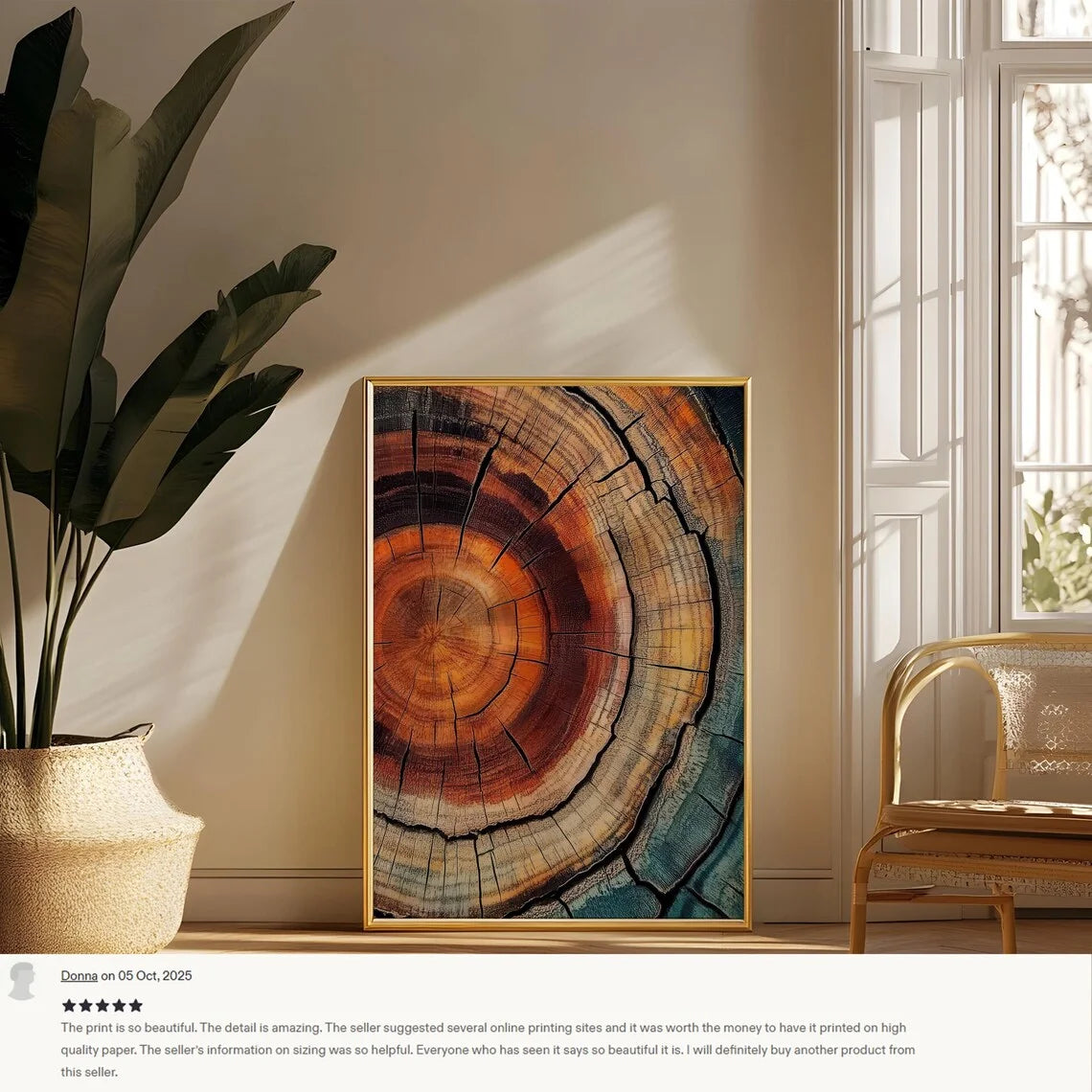 Abstract Tree Ring Canvas Wall Art | Modern Minimalist Decor Canvas Wall Art Peaceful Pleasures Health and Wellness WS9123-5 40x50cm Unframed